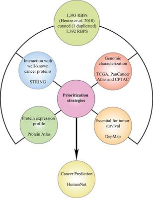 Data mining identifies novel RNA-binding proteins involved in colon and rectal carcinomas